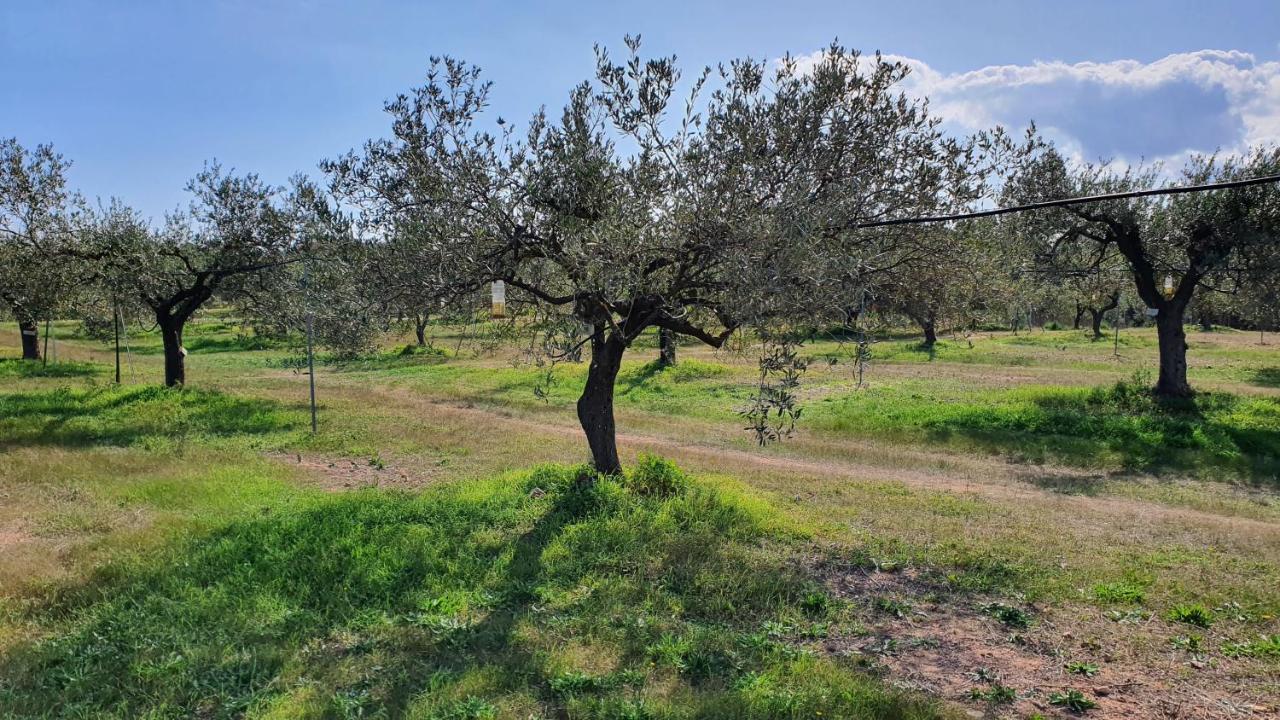 Agriturismo Corte Degli Ulivi Капотерра Экстерьер фото