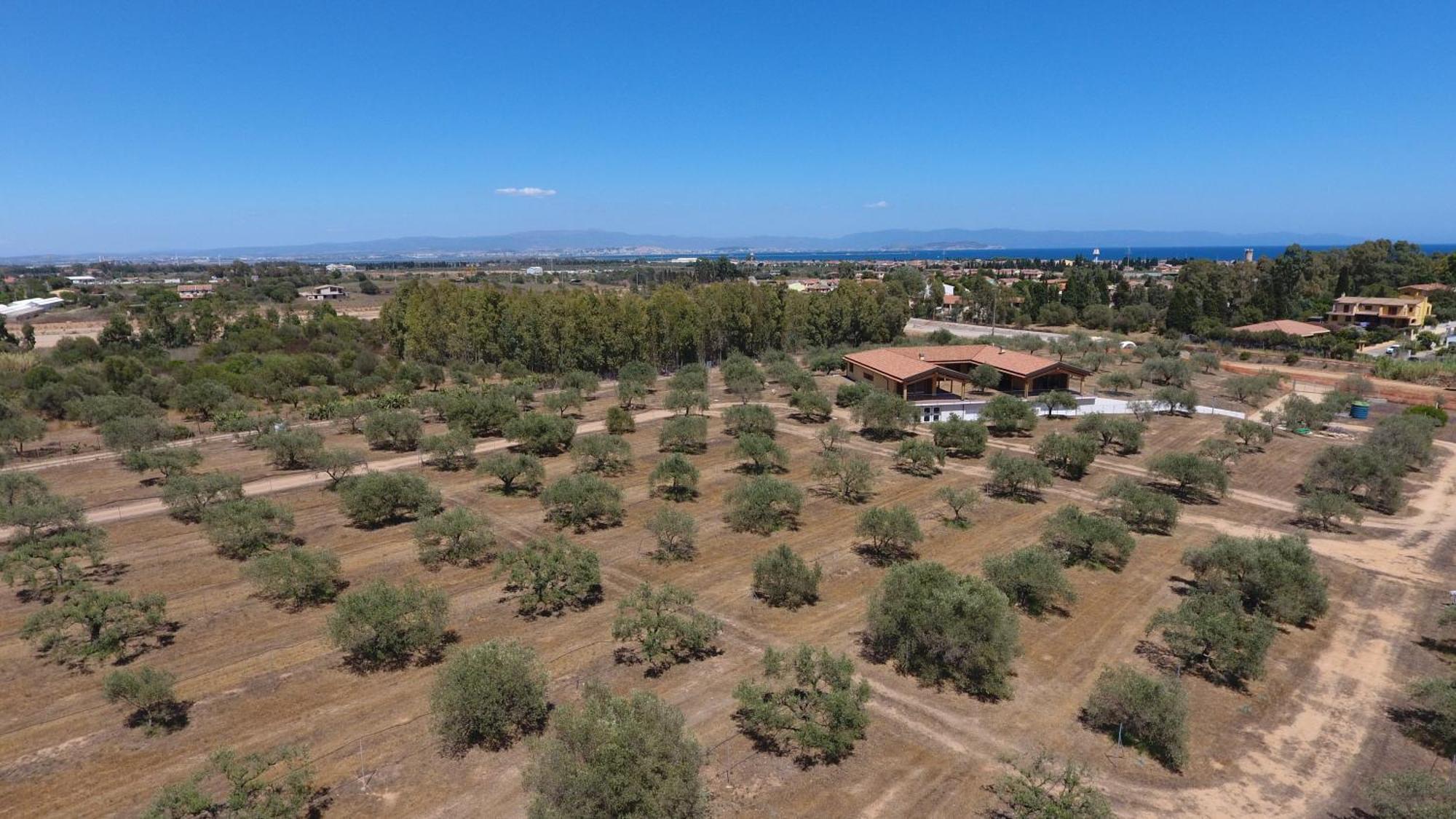 Agriturismo Corte Degli Ulivi Капотерра Экстерьер фото